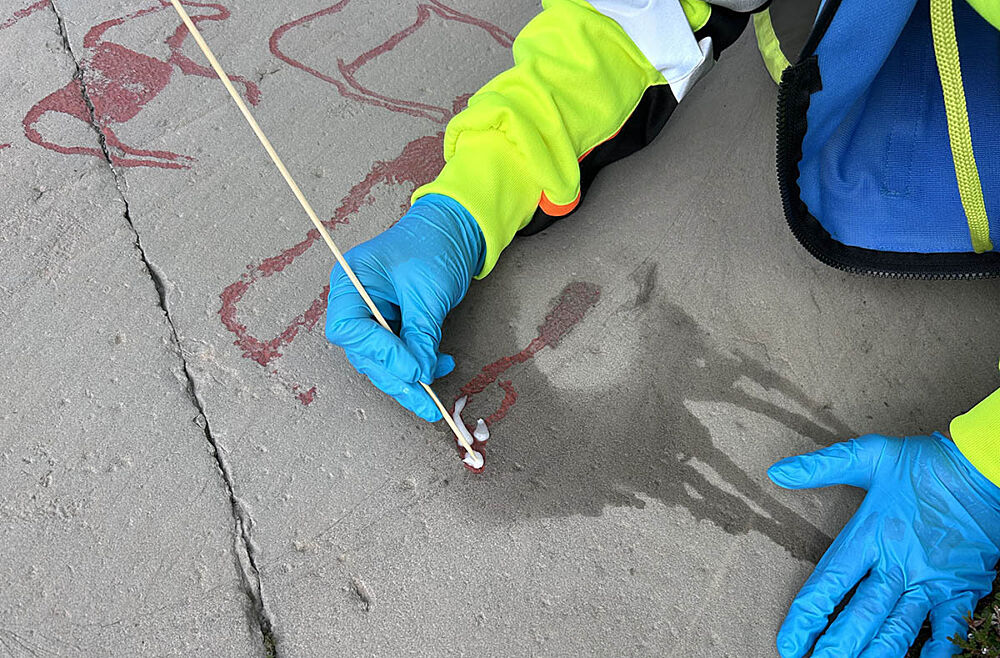 The red-painted rock carvings | Alta Museum