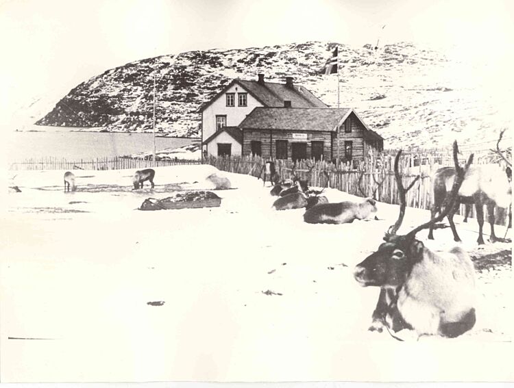 The Bossekop Market - cultural meetingplace.